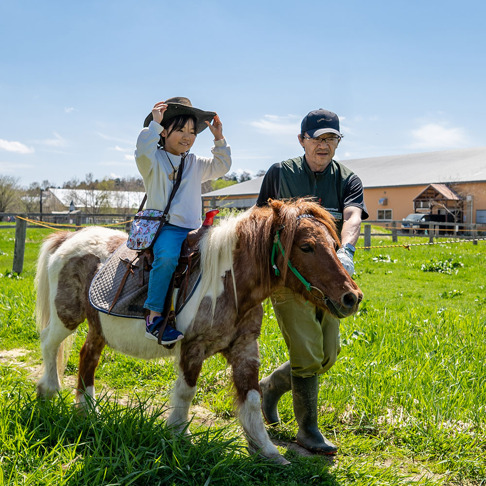 ポニー馬場